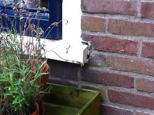 houtrot in kozijn, bouwkundige keuring
